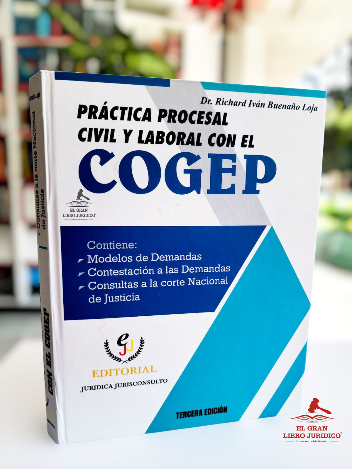 PRÁCTICA PROCESAL CIVIL Y LABORAL CON EL COGEP