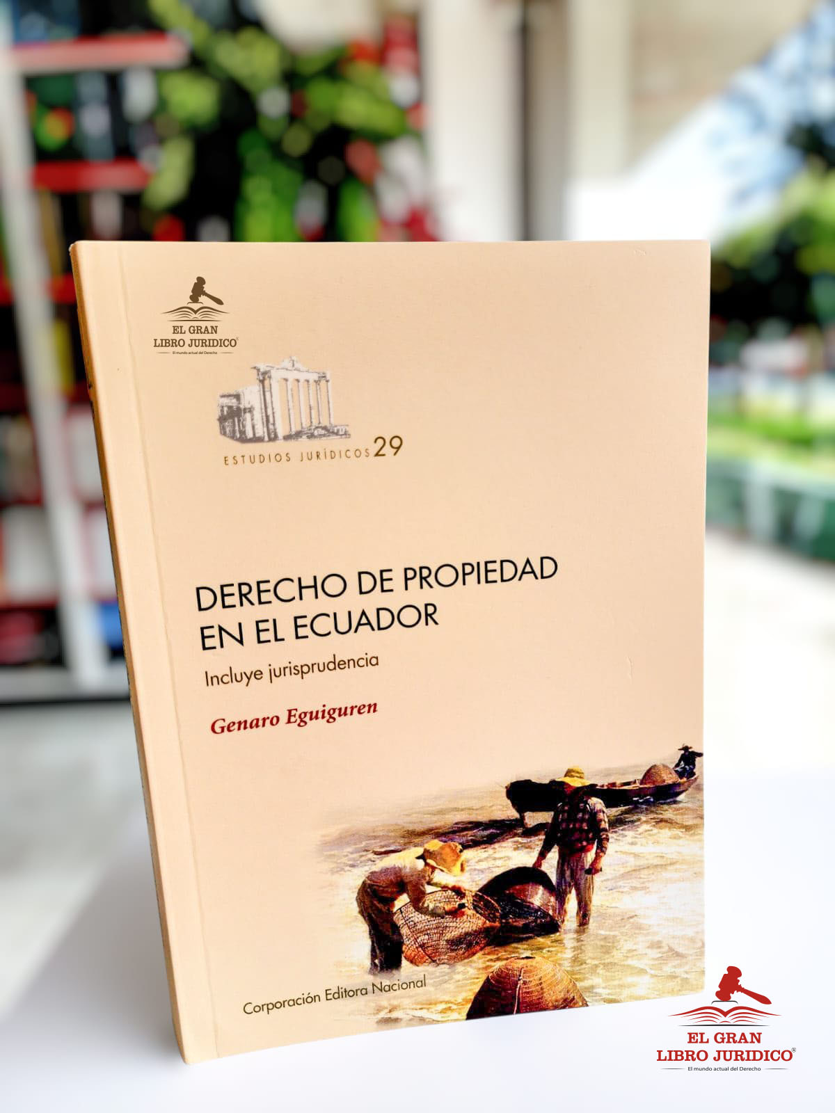 DERECHO DE PROPIEDAD EN EL ECUADOR