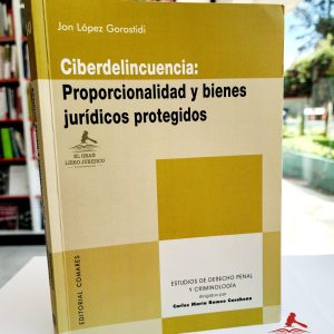CIBERDELINCUENCIA