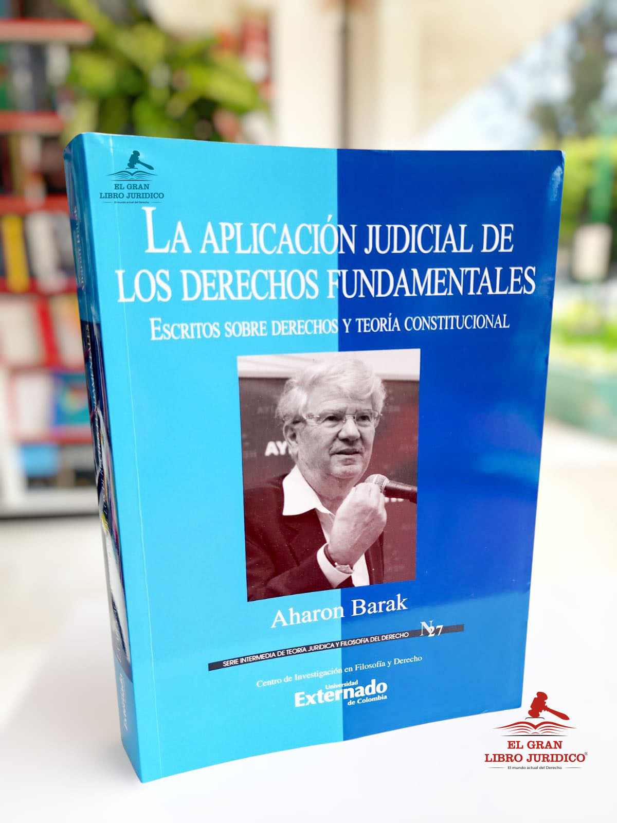 LA APLICACIÓN JUDICIAL DE LOS DERECHOS FUNDAMENTALES
