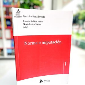 NORMA E IMPUTACIÓN