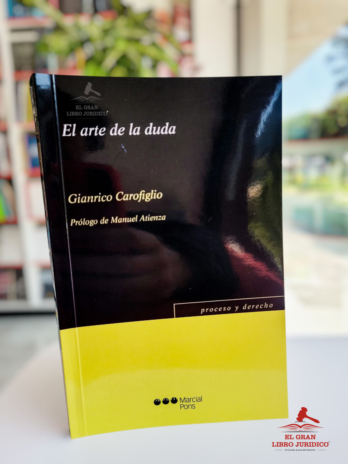 EL ARTE DE LA DUDA