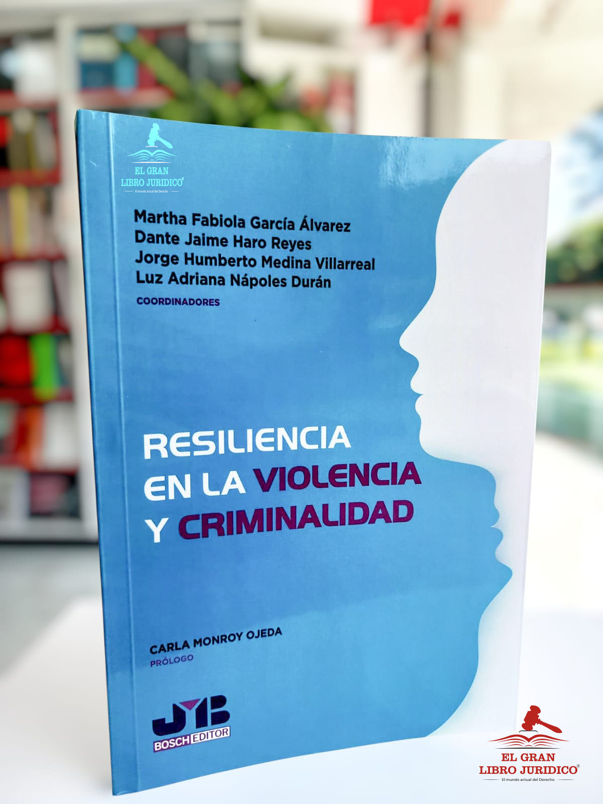 RESILIENCIA EN LA VIOLENCIA Y CRIMINALIDAD