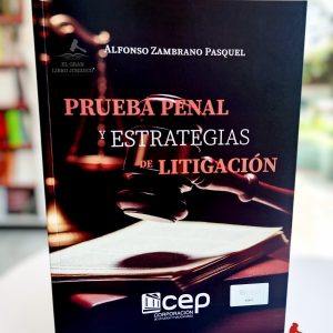 PRUEBA PENAL Y ESTRATEGIAS DE LITIGACIÓN
