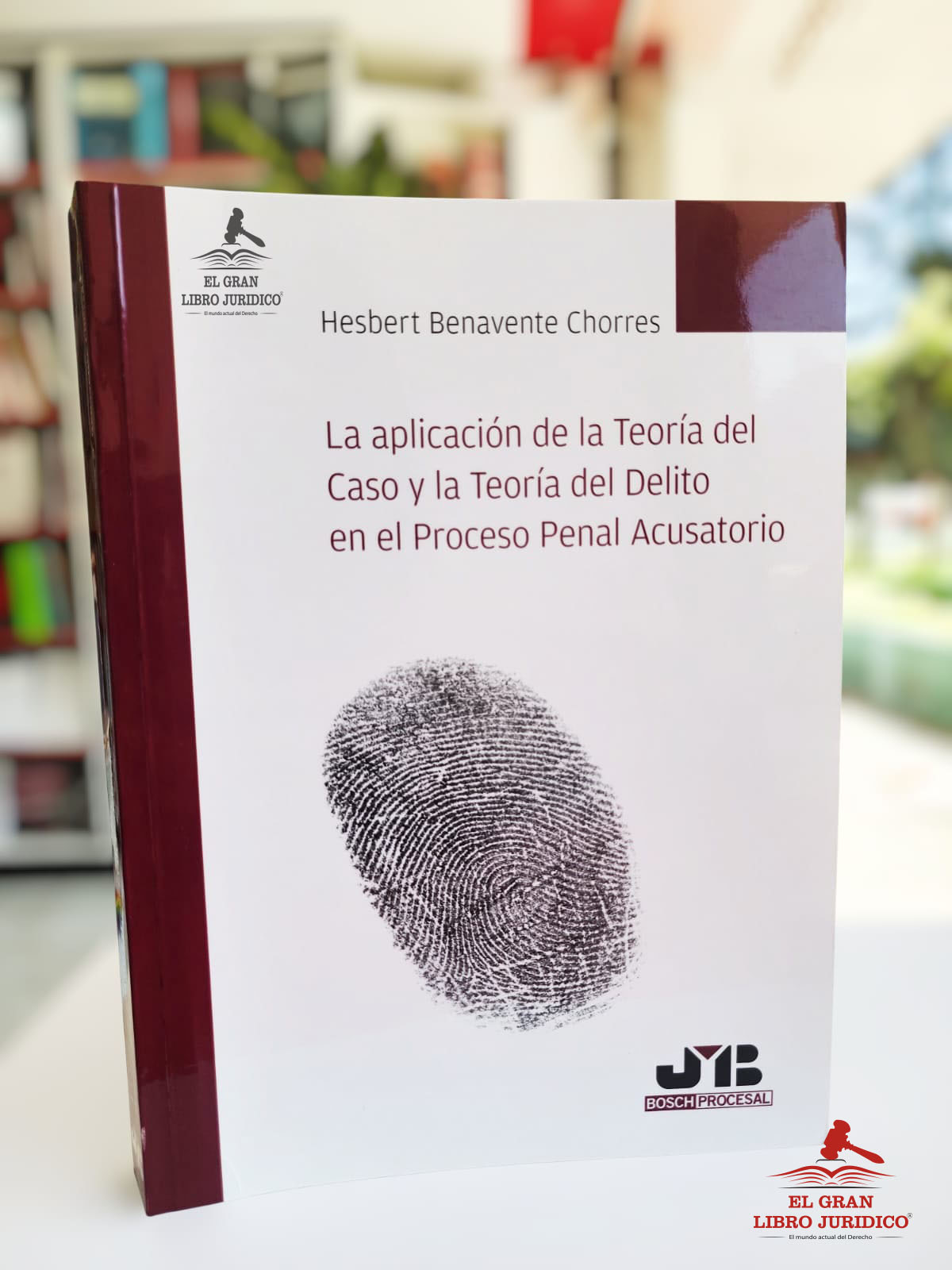 LA APLICACIÓN DE LA TEORÍA DEL CASO Y LA TEORÍA DEL DELITO EN EL PROCESO PENAL ACUSATORIO