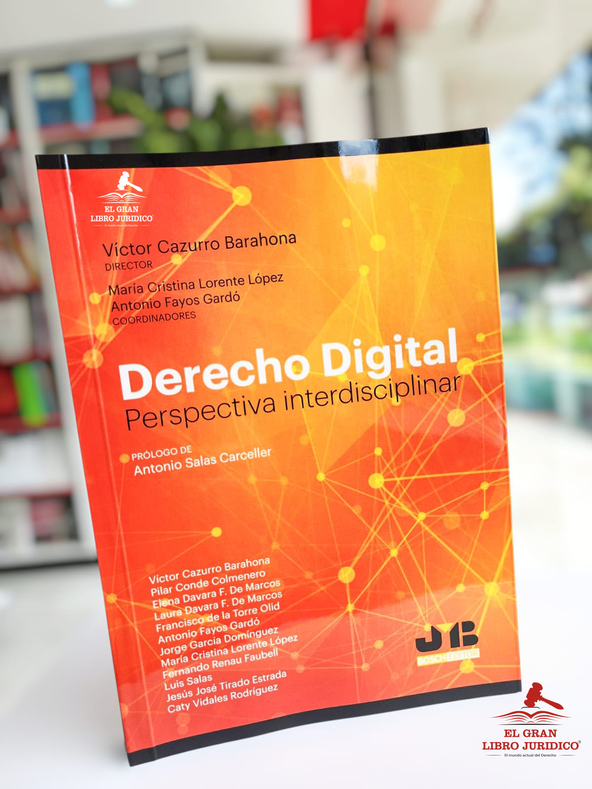 DERECHO DIGITAL PERSPECTIVA INTERDISCIPLINAR