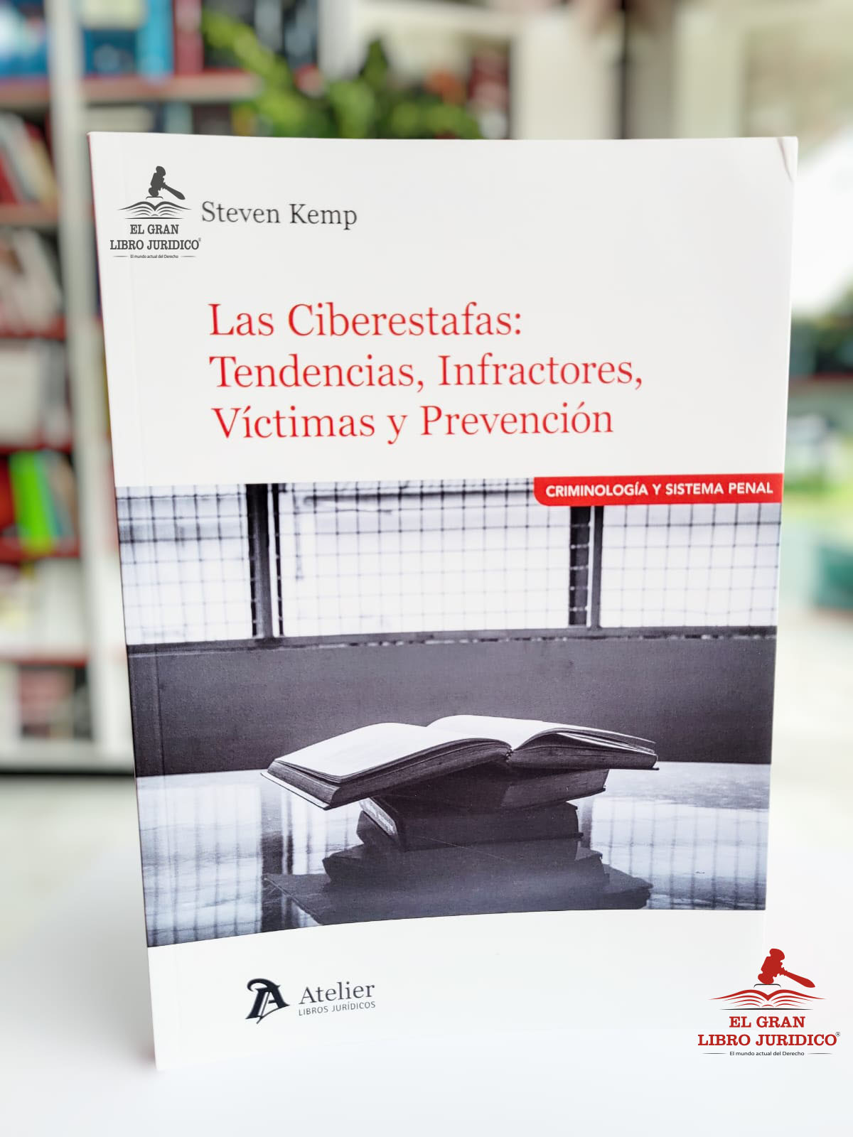 LAS CIBERESTAFAS: TENDENCIAS, INFRACTORES, VÍCTIMAS, PREVENCIÓN