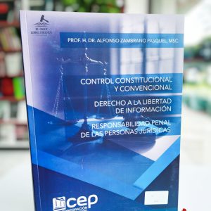 CONTROL CONSTITUCIONAL Y CONVENCIONAL