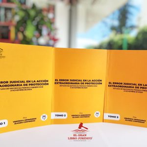 EL ERROR JUDICIAL EN LA ACCIÓN EXTRAORDINARIA DE PROTECCIÓN 3 TOMOS