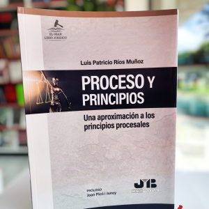 PROCESO Y PRINCIPIOS