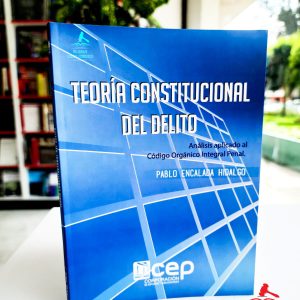 TEORÍA CONSTITUCIONAL DEL DELITO