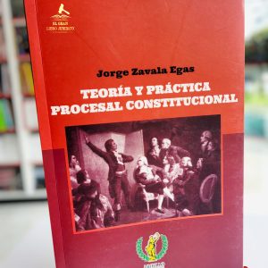 TEORÍA Y PRÁCTICA PROCESAL CONSTITUCIONAL
