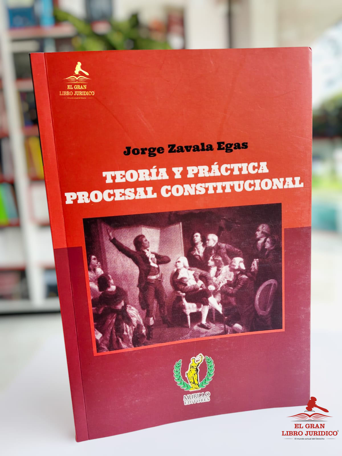 TEORÍA Y PRÁCTICA PROCESAL CONSTITUCIONAL