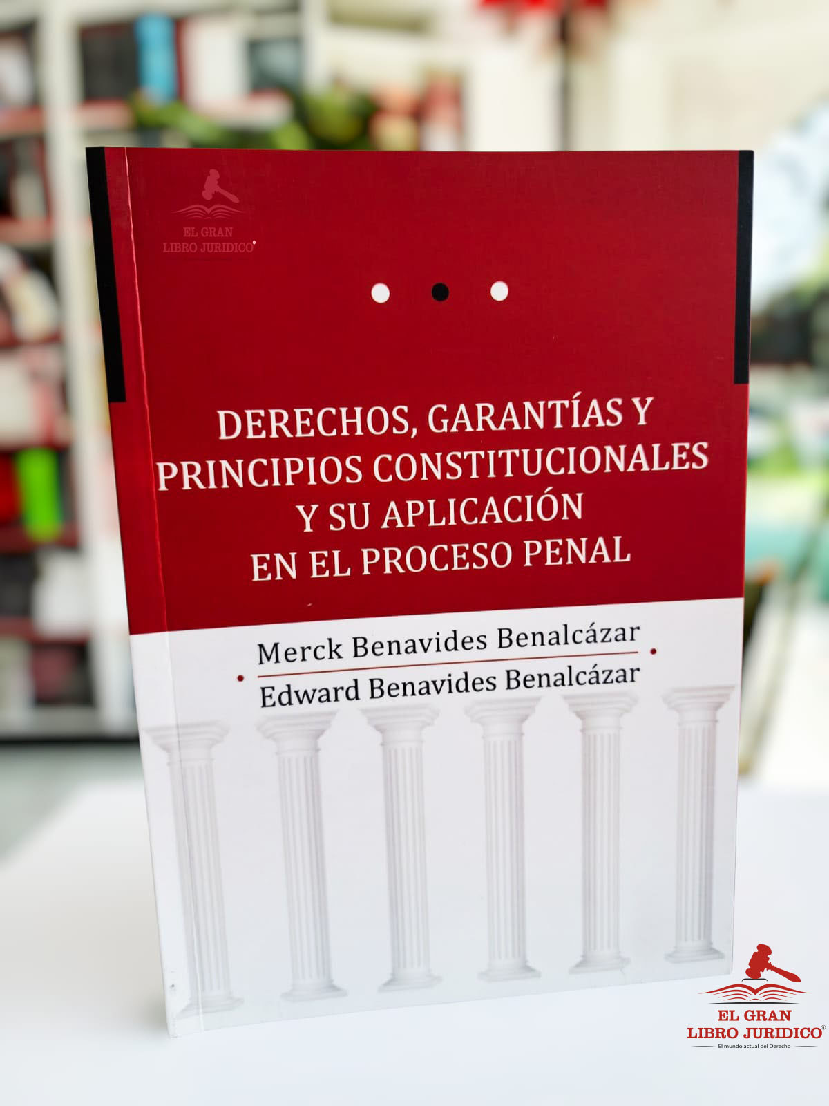 DERECHOS, GARANTÍAS Y PRINCIPIOS CONSTITUCIONALES Y SU APLICACIÓN EN EL PROCESO PENAL