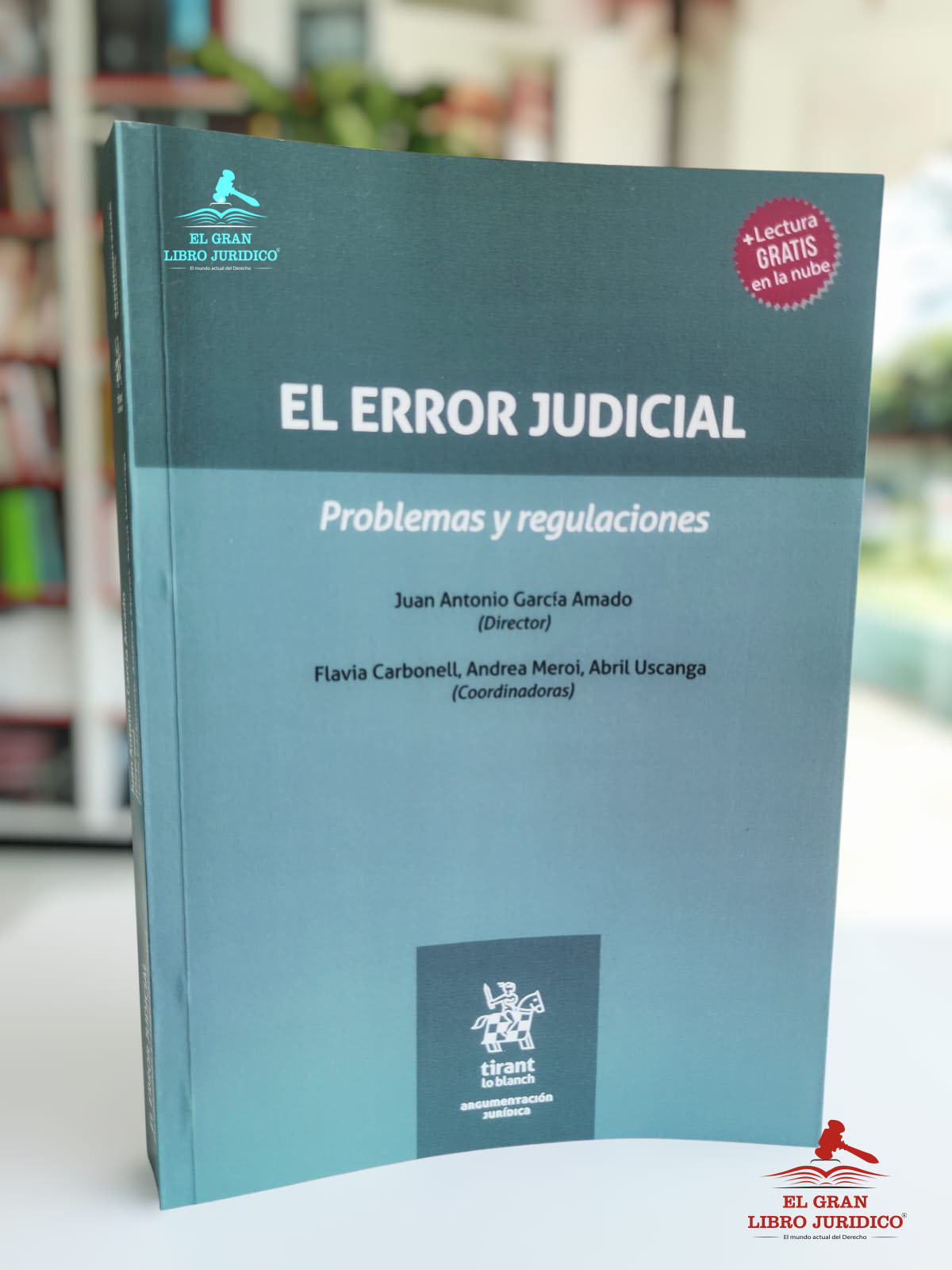 EL ERROR JUDICIAL PROBLEMAS Y REGULACIONES