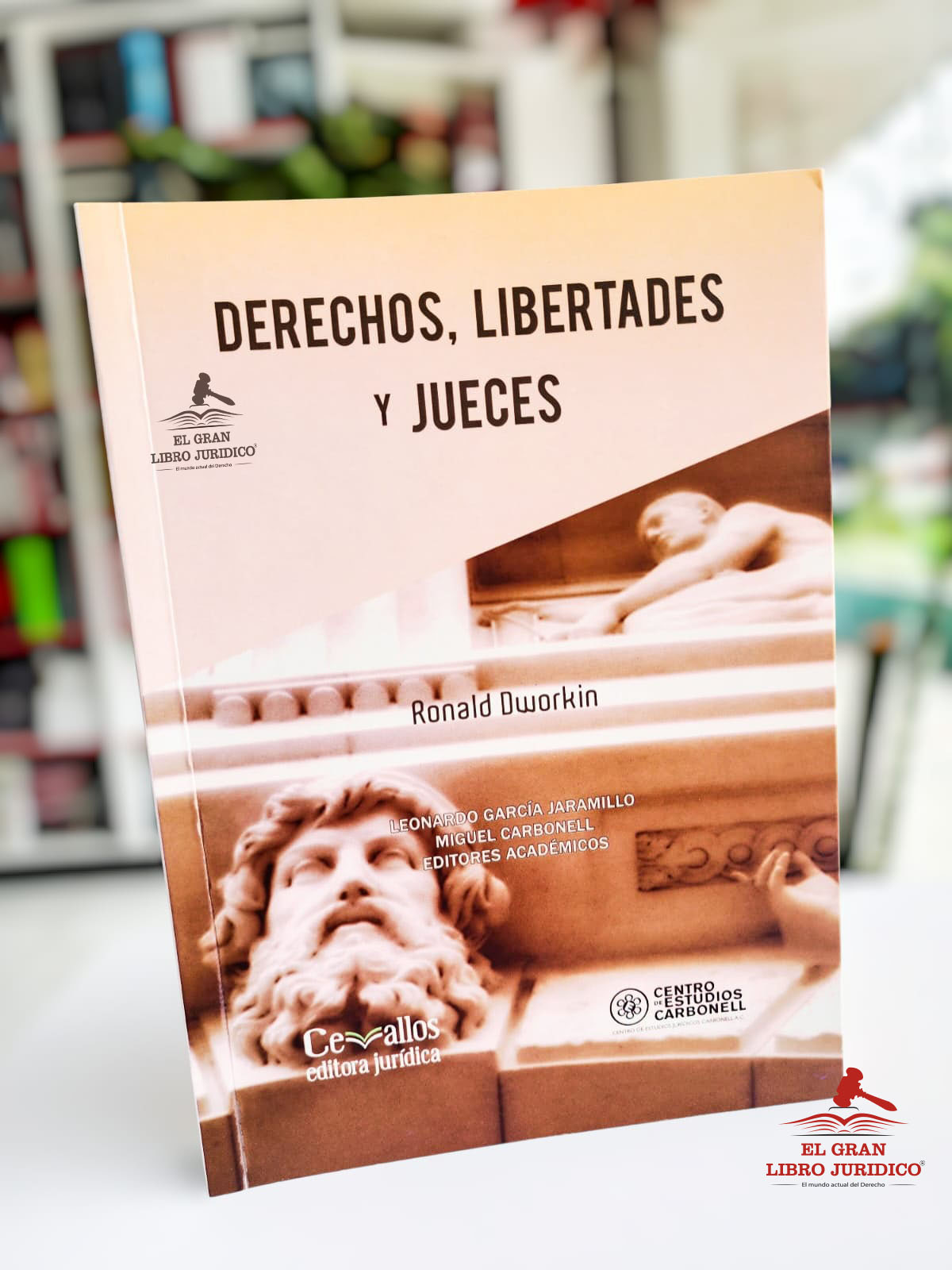 DERECHOS, LIBERTADES Y JUECES