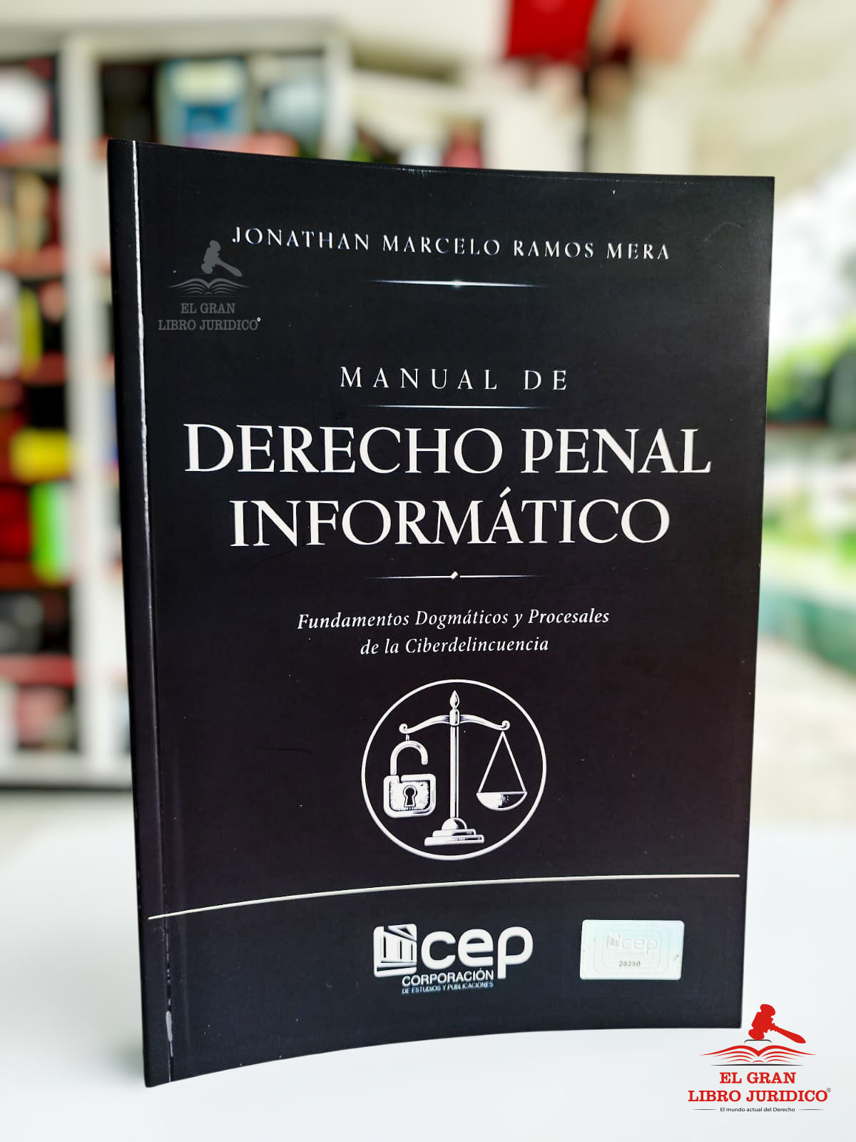 MANUAL DE DERECHO PENAL INFORMÁTICO: FUNDAMENTOS DOGMÁTICOS Y PROCESALES DE LA CIBERDELINCUENCIA