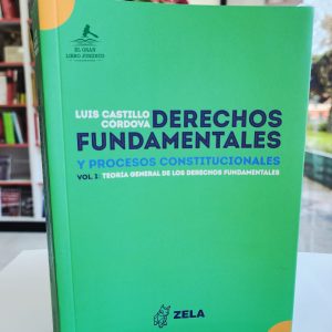 DERECHOS FUNDAMENTALES Y PROCESOS CONSTITUCIONALES, VOL. 1: TEORÍA GENERAL DE LOS DERECHOS FUNDAMENTALES